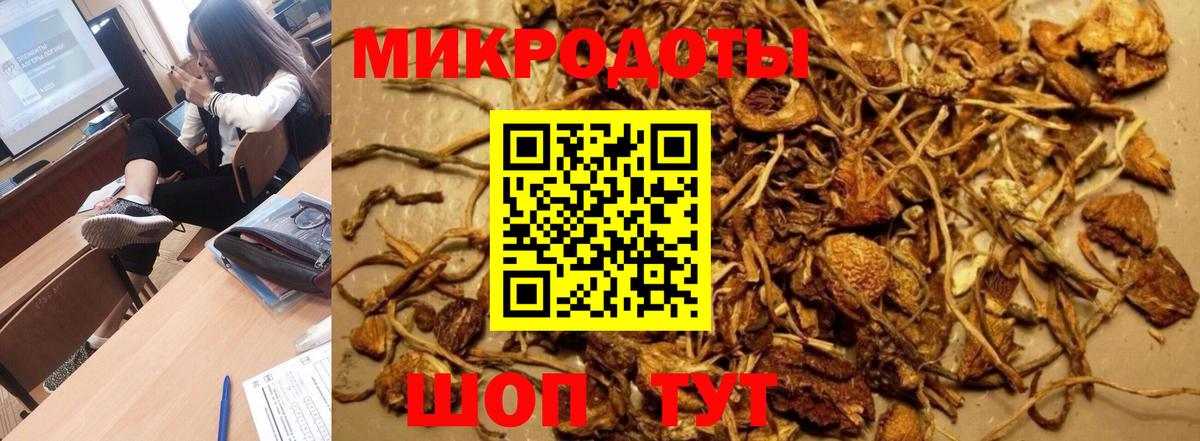 Галлюциногенные грибы Cubensis Кумертау